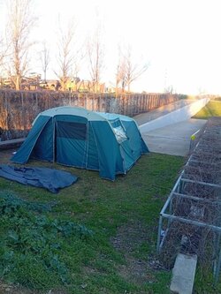IMG-20250210-WA0009.jpg