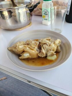 IMG_20250405_135418.jpg