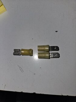 20250410_074828.jpg