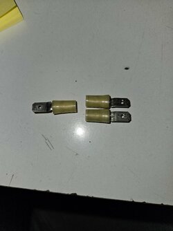 20250410_074816.jpg