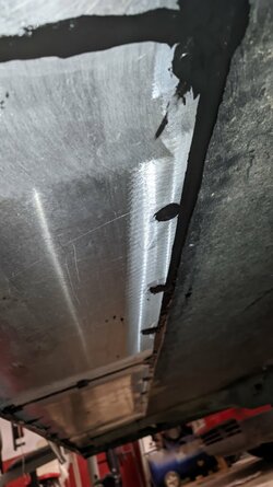 PXL_20250402_020312187.jpg