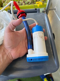 IMG_3035.jpeg