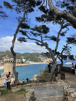 IMG_3178.jpeg