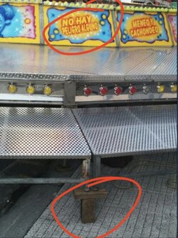 1000011466.jpg