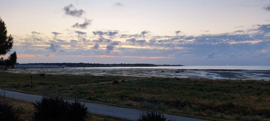 IMG_20250606_220815.jpg