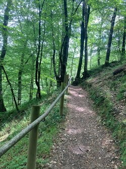 IMG_6538.jpeg