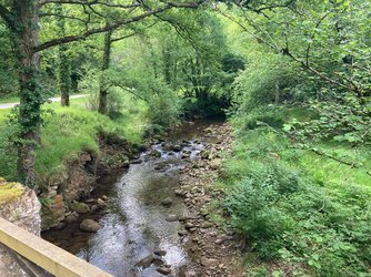 IMG_6531.jpeg