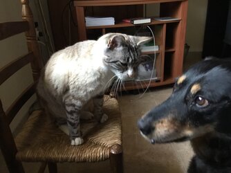 IMG_0115.jpeg