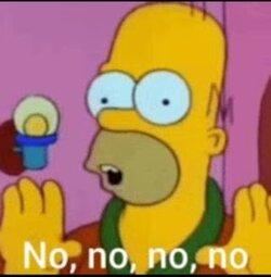Homer no.jpg