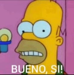 Homer bueno si.jpg