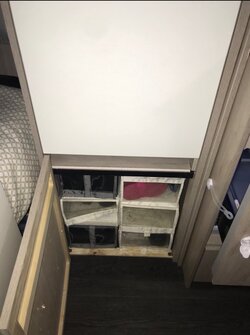 IMG_3763.jpeg