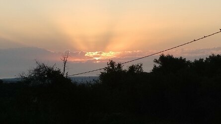 IMG_20250719_065439.jpg