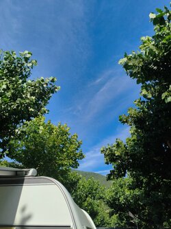 IMG_20250727_093439.jpg
