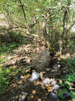 IMG_20250730_105340.jpg