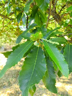 IMG_20250730_102636.jpg