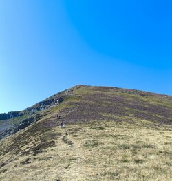 IMG_20250804_191253.jpg