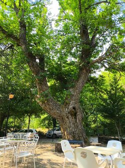 IMG_20250801_121916.jpg
