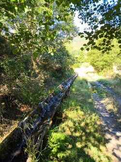 IMG_20250730_104202.jpg