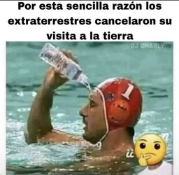 1000018022.jpg