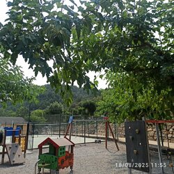 IMG_20250818_115503.jpg