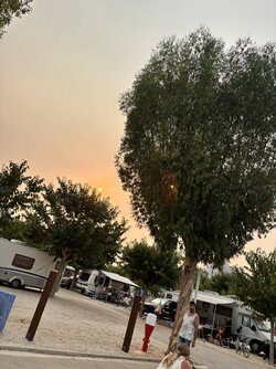 IMG_4391.jpeg