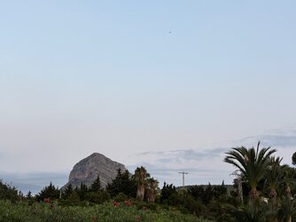 IMG_4500.jpeg