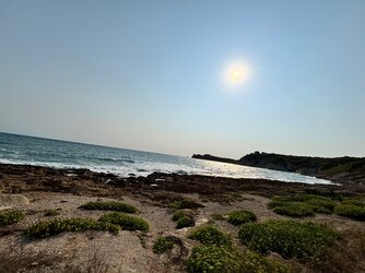 IMG_4604.jpeg