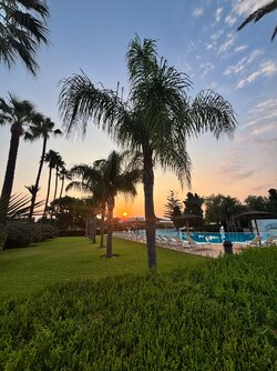 IMG_4702.jpeg