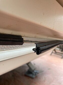IMG_4689.jpeg