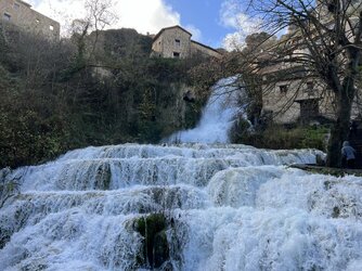 IMG_0306.jpeg