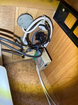 IMG_9681.jpeg