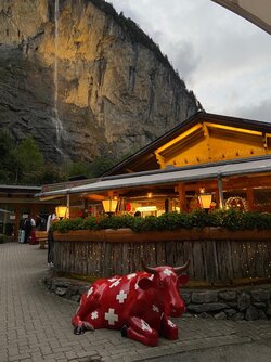 IMG_6993.jpeg