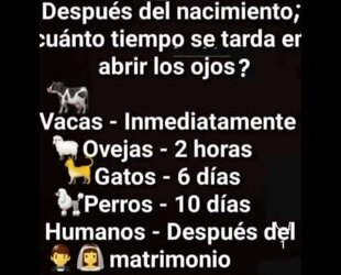 Screenshot_20250830-192110_WhatsApp.jpg