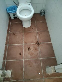 IMG-20250819-WA0011.jpg