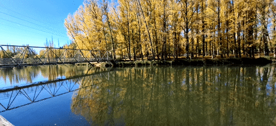 20251027_122522.gif 20251027_122522.gif