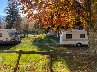 IMG_7626.jpeg IMG_7626.jpeg