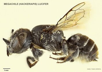 1000055341.jpg 1000055341.jpg