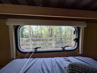 1000079006.jpg 1000079006.jpg