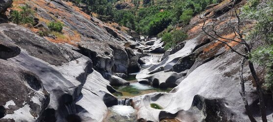 IMG-20250621-WA0002.jpg IMG-20250621-WA0002.jpg