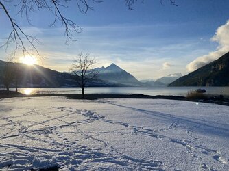 IMG_8386.jpeg IMG_8386.jpeg