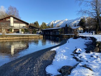 IMG_8387.jpeg IMG_8387.jpeg