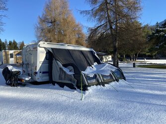 IMG_8383.jpeg IMG_8383.jpeg