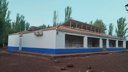 IMG_20240626_065544.jpg IMG_20240626_065544.jpg