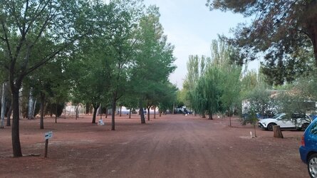 IMG_20240626_070200.jpg IMG_20240626_070200.jpg