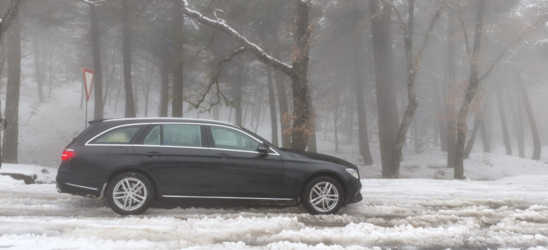 1774009443560.png 1774009443560.png