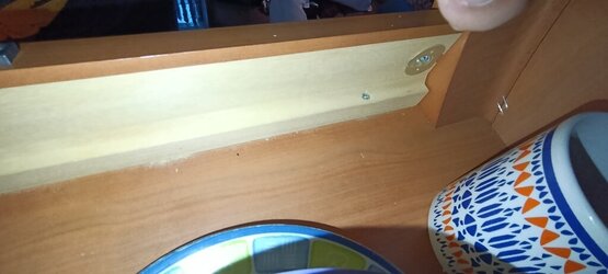 1000101444.jpg 1000101444.jpg