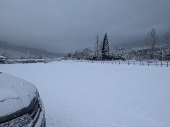 PXL_20260124_074559629.jpg PXL_20260124_074559629.jpg