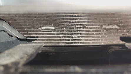 1000075788.jpg 1000075788.jpg