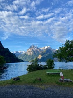 IMG_9362.jpeg