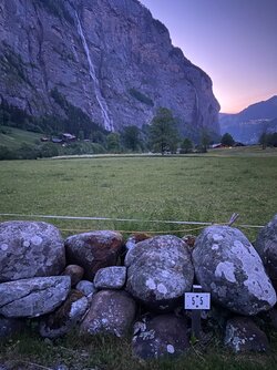 IMG_9483.jpeg